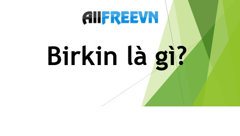 Birkin là gì? Mọi điều về Birkin bạn chưa biết